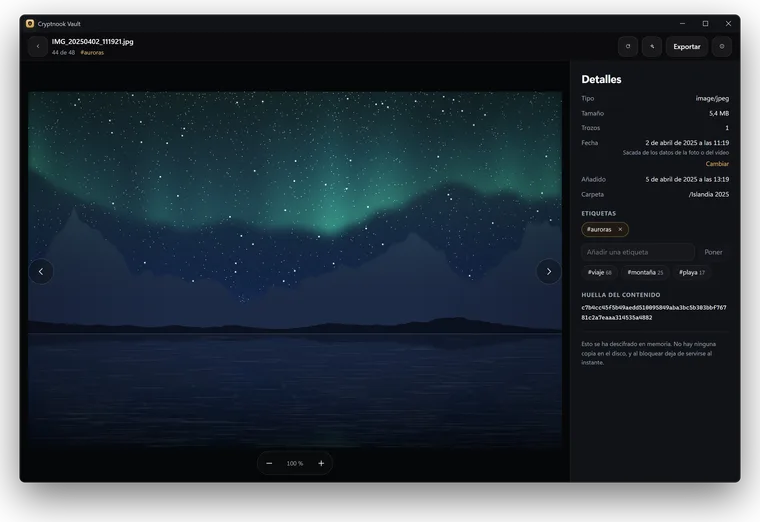 El visor en Windows: una foto a tamaño grande y, al lado, sus detalles, etiquetas y huella del contenido.